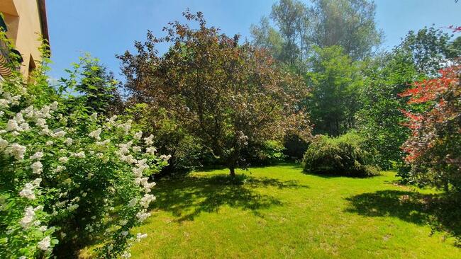 Dom, Dys, 900 m2 działki.Gotowy do zamieszkania