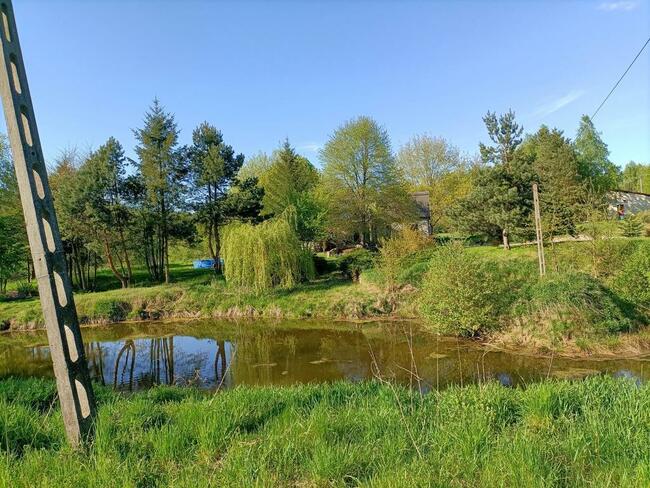 Siedlisko w cichej okolicy 100 km od Warszawy.