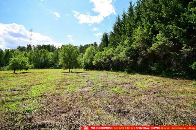 Pliszczyn, działka do wydzielenia 30-50a, rzeka.