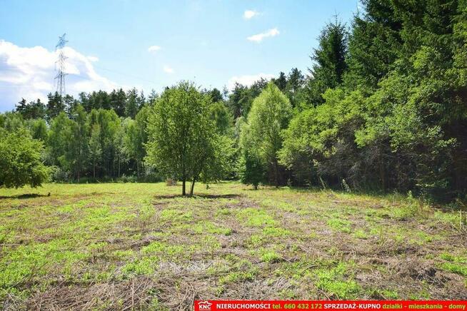 Pliszczyn, działka do wydzielenia 30-50a, rzeka.