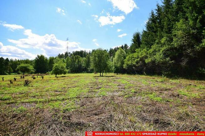Pliszczyn, działka do wydzielenia 30-50a, rzeka.