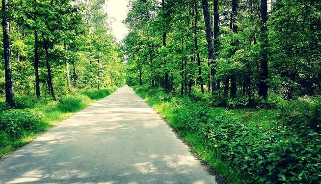 Działka z widokiem na Park Krajobrazowy- wszystkie media!