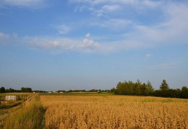 Działka rolna jako inwestycja Marysin!