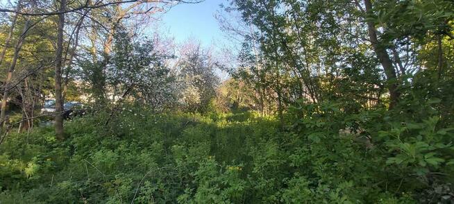 Działka zagrodowa w Turce.