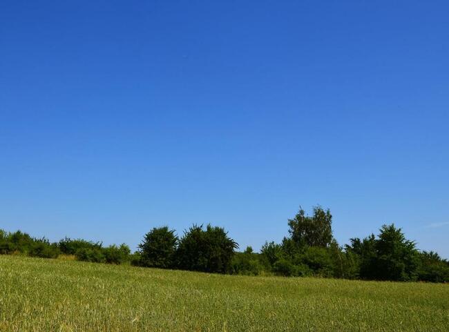 Działka rolno-budow. z szybkim dojazdem do Lublina