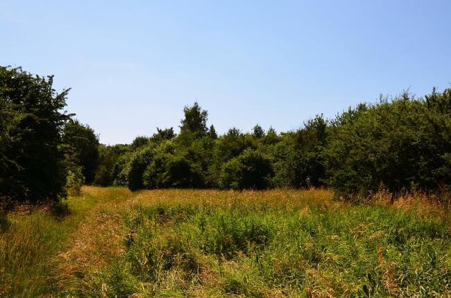 Działka rolno-budow. z szybkim dojazdem do Lublina