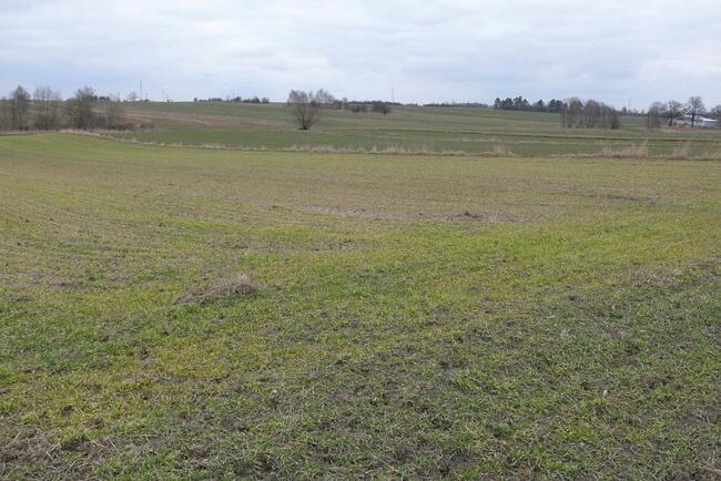 LUBLIN- Działka w cichej okolicy- Głusk.