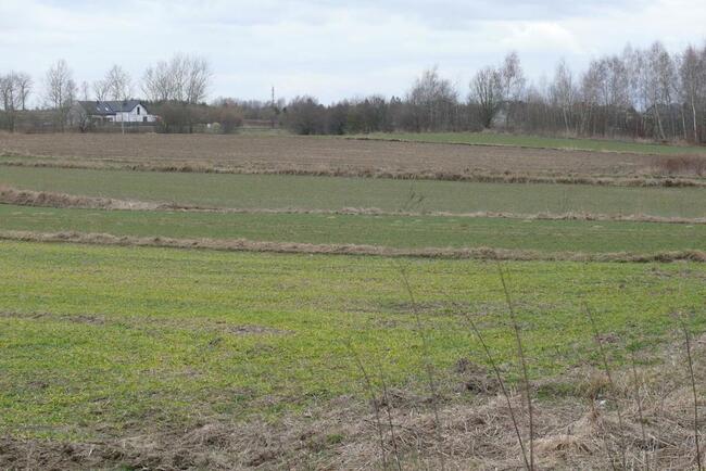 LUBLIN- Działka w cichej okolicy- Głusk.