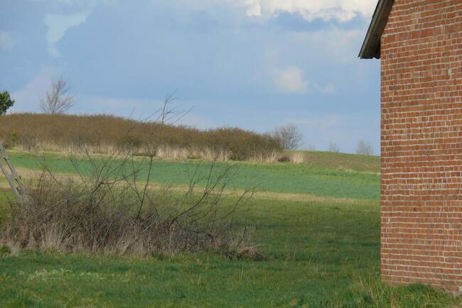 Działka pod dom lub małą działalność.