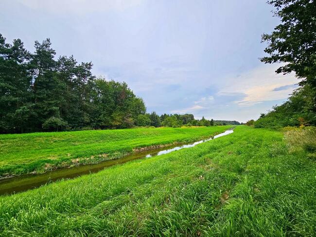 Łąki przy kanale - częściowo pod wydobycie torfu!!