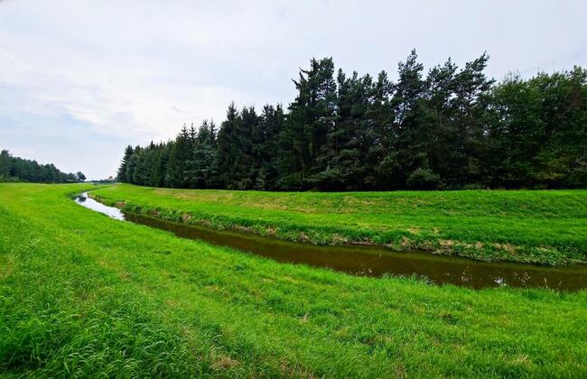 Łąki przy kanale - częściowo pod wydobycie torfu!!