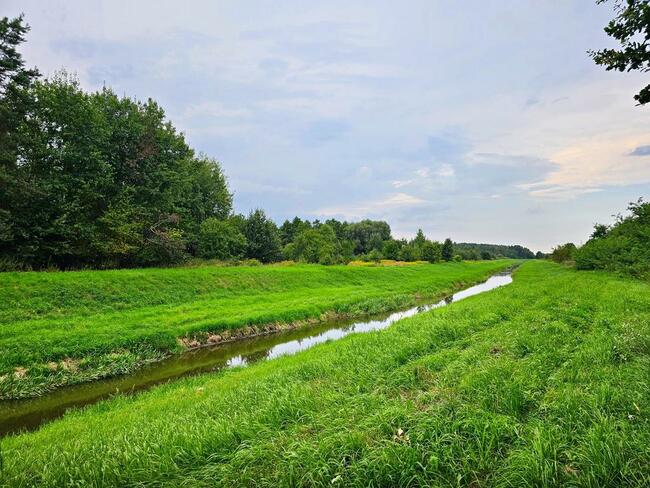 Łąki przy kanale - częściowo pod wydobycie torfu!!
