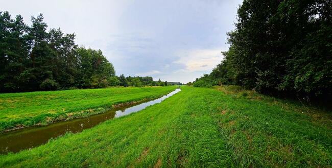 Łąki przy kanale - częściowo pod wydobycie torfu!!