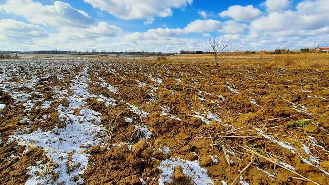 Działka budowlana Płouszowice Kolonia - 35ar