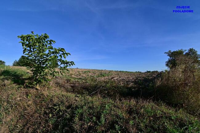 Działka doskonała pod inwestycję - Nałęczów - 14ar