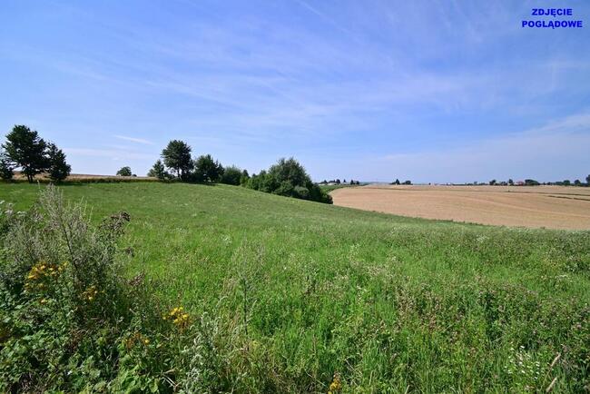 Działka doskonała pod inwestycję - Nałęczów - 14ar