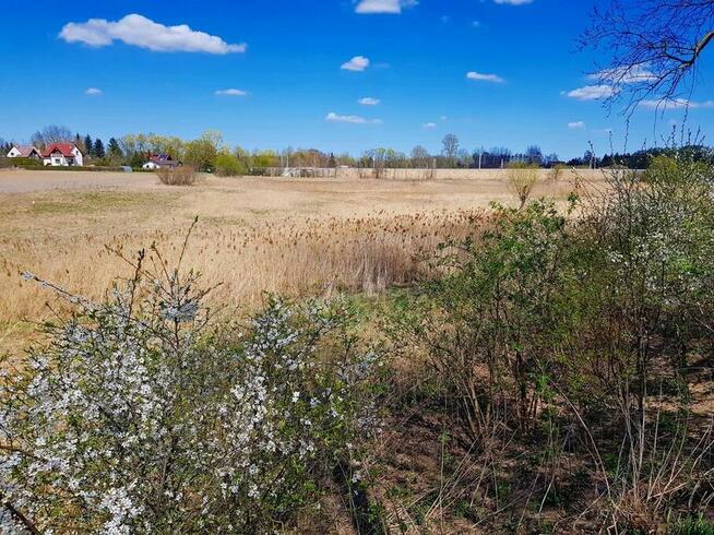 Malowniczo położona działka bud. Miłocin 5000 mkw