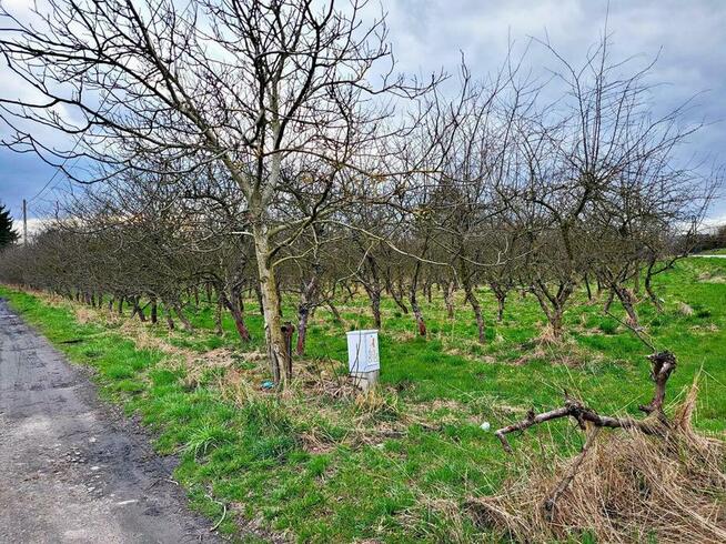 Inwestycyjna działka budowlana w Motyczu