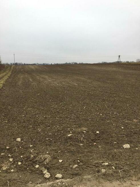 Działka 1.84ha Tomaszowice- Kolonia