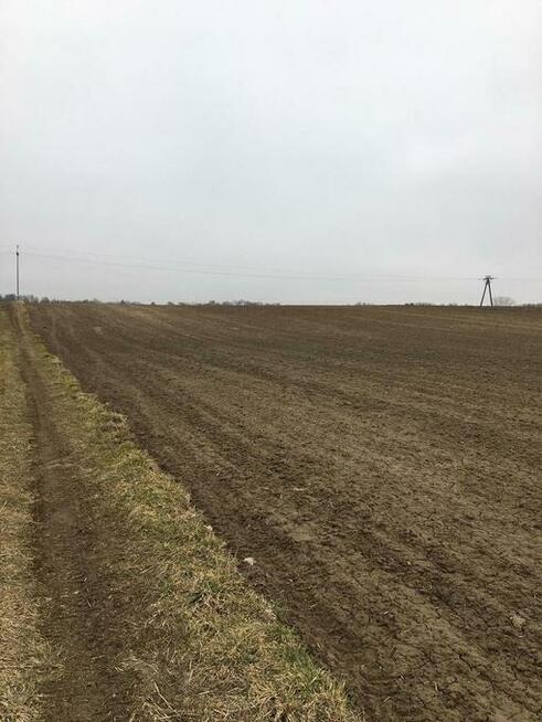 Działka 1.84ha Tomaszowice- Kolonia