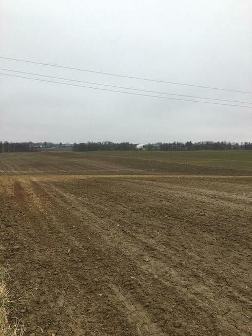 Działka 1.84ha Tomaszowice- Kolonia