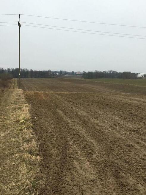 Działka 1.84ha Tomaszowice- Kolonia