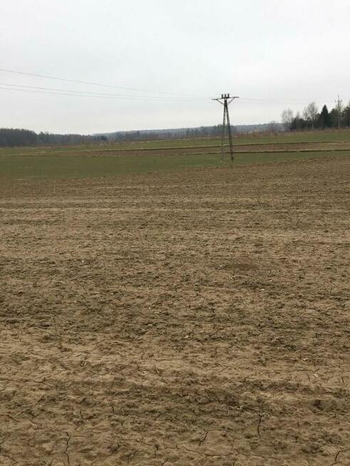 Działka 1.84ha Tomaszowice- Kolonia