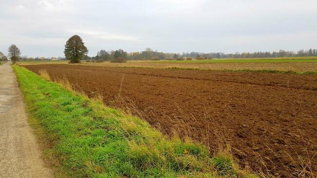 Grunt w Samoklęskach, gmina Kamionka, 22ar!