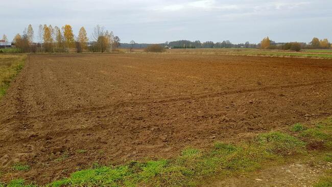 Grunt rolny - 55 ar - Samoklęski, gmina Kamionka