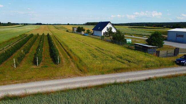 Borów Kol. Duża działka z możliwością uzyskania WZ