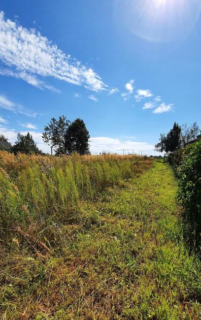 Sadurki - działka rolno-budowlana - 62ar