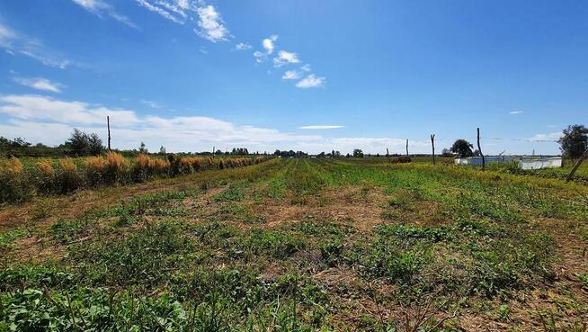 Sadurki - działka rolno-budowlana - 62ar