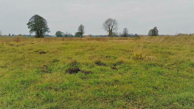 Samoklęski kol. Pierwsza - działka rolna