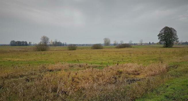 Samoklęski kol. Pierwsza - działka rolna