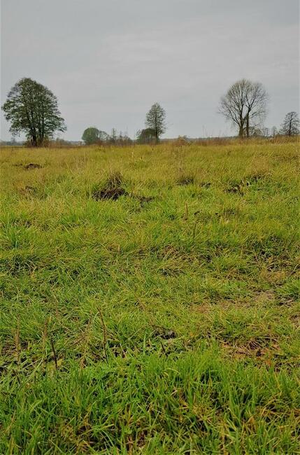 Samoklęski kol. Pierwsza - działka rolna