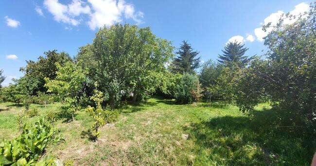 Gutanów - dom na 68 ar działki. - JEDYNE 300tys!