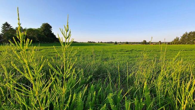 Działka 30ar nieopodal Lublina - Miłocin