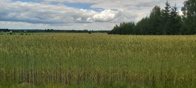 Piękna działka budowlana w Starościnie!!!