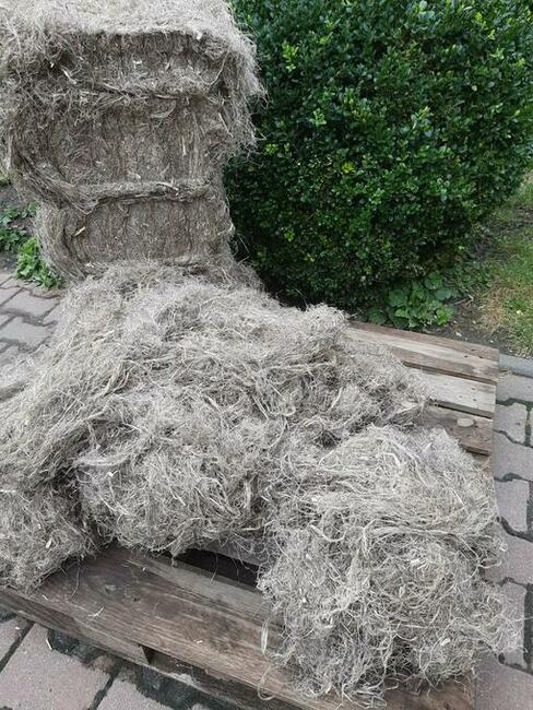 Włókno konopne do mszenia belka 30Kg