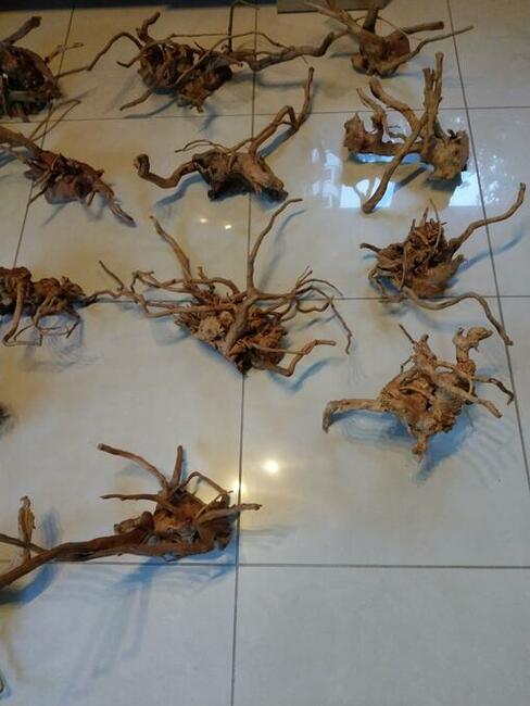 Korzenie japońskie małe i średnie do akwarium terrarium