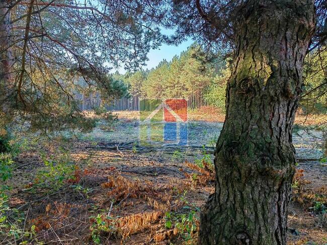 Duża działka budowlana Parku Krajobrazowym