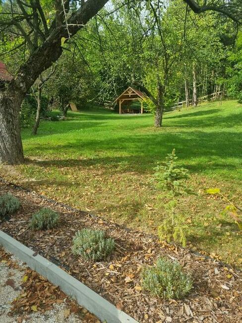 Altana ogrodowa Wiata Samochodowa