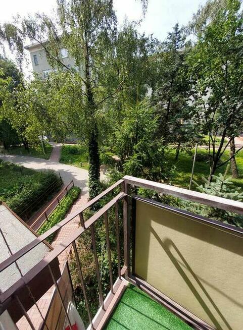 mieszkanie do wynajęcia