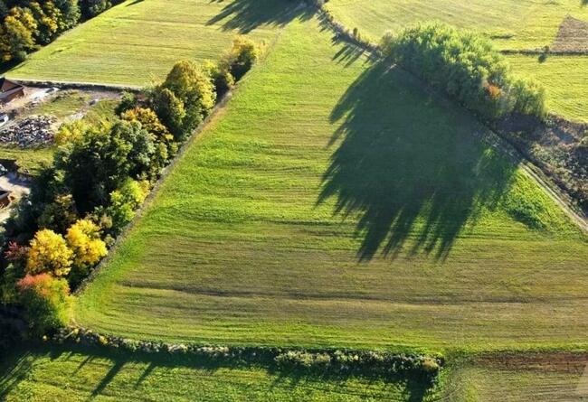 Działka, agroturystyka, siedlisko -Skrzętla-Rojowka -1,14ha