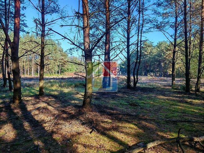 Duża działka budowlana Parku Krajobrazowym