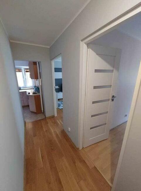 mieszkanie do wynajęcia