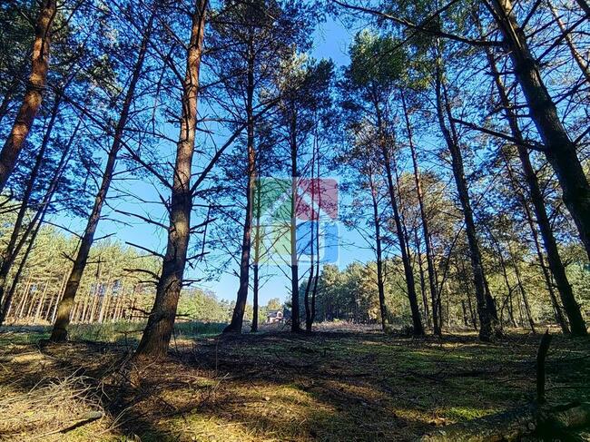 Duża działka budowlana Parku Krajobrazowym