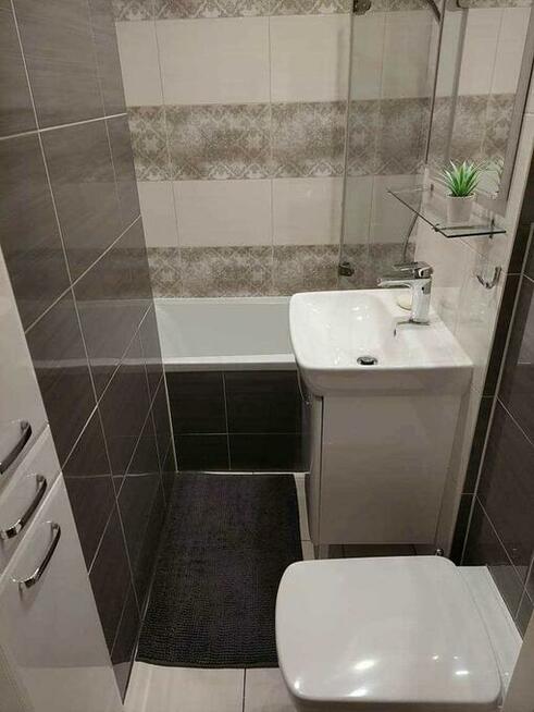 mieszkanie do wynajęcia