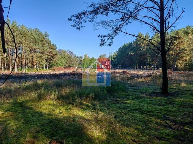 Duża działka budowlana Parku Krajobrazowym