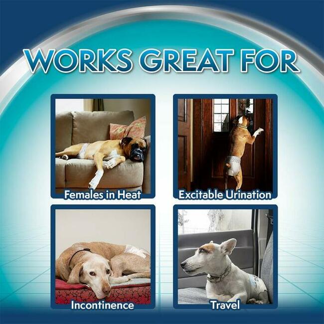 JEDNORAZOWE PIELUCHY DLA SUCZKI S 5-11kg 30-48cm